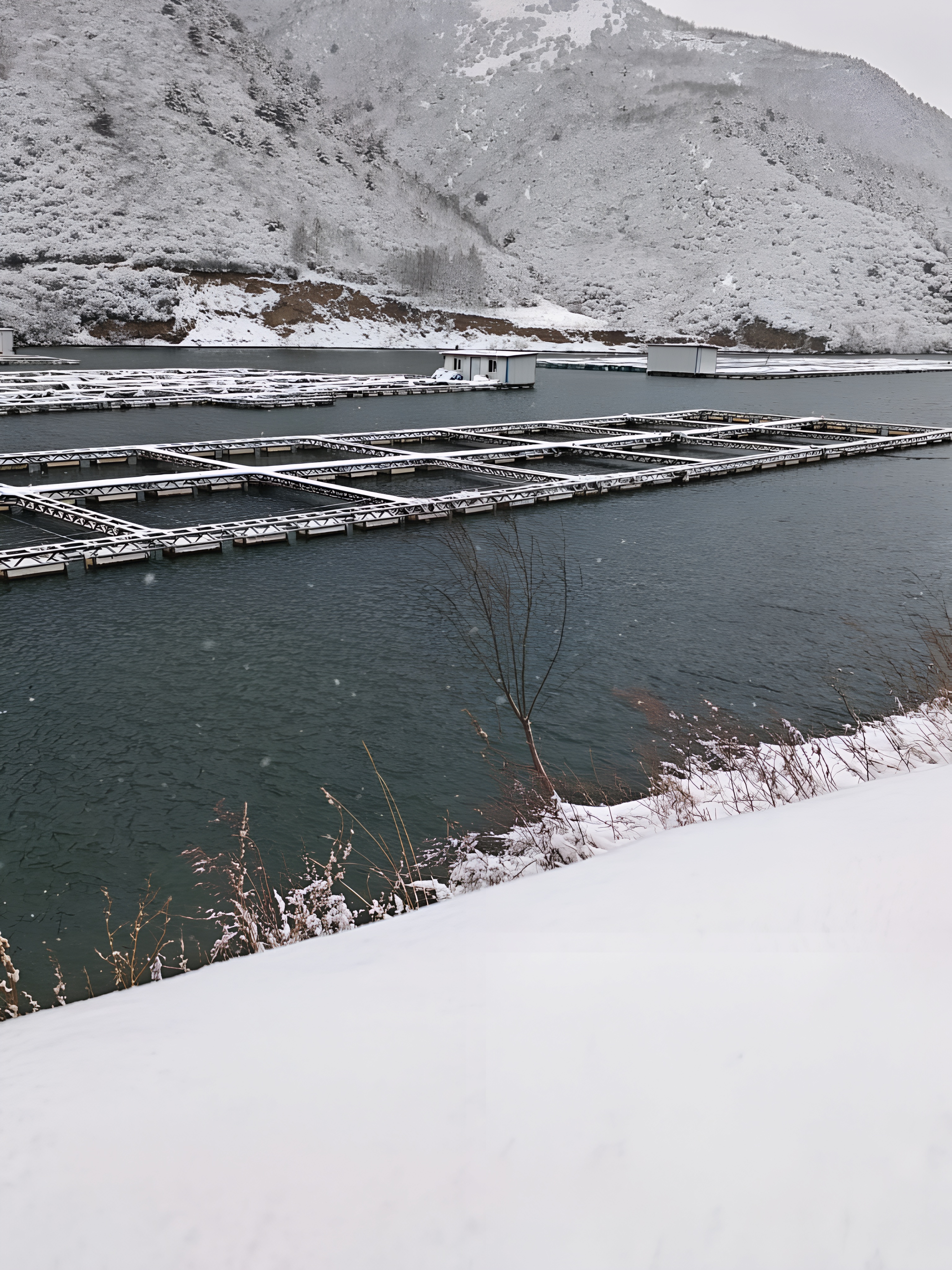 冬季雪景下的養殖網箱